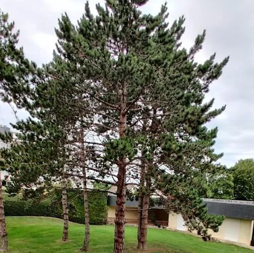 Chez Emy & Tom Appartement